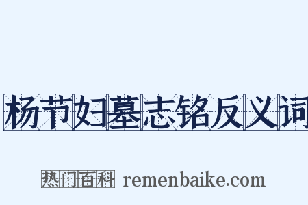 杨节妇墓志铭反义词是什么意思的图片